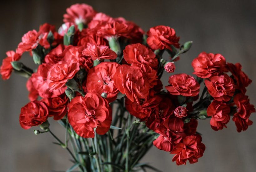 the best occasions to give flowers