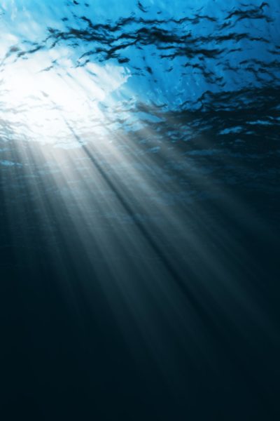 simple steps to save the ocean