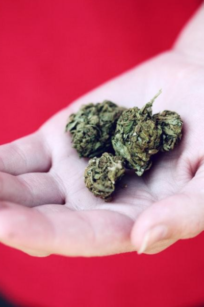 common misconceptions about cbd oil and the truth behind them