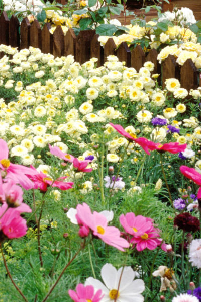 travis cadman  benefits of gardening