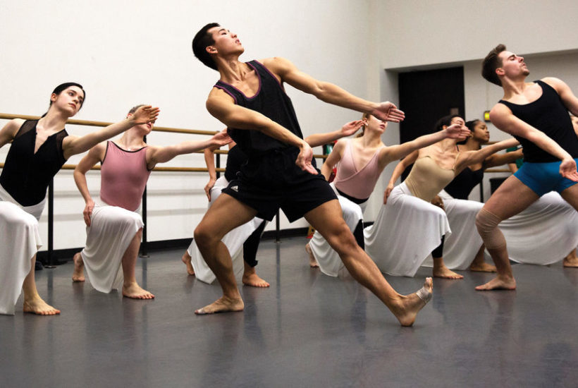 what the amda college and conservatory of the performing arts reviews say about studying here