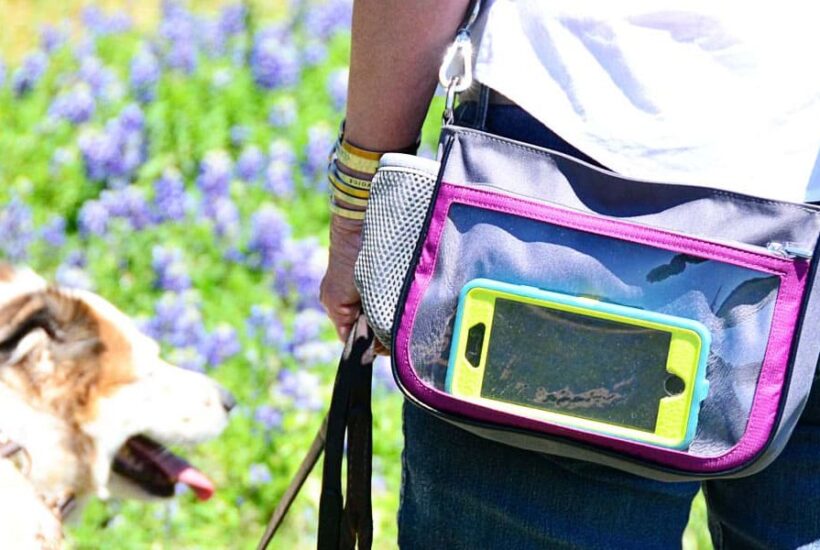 4 essential items every dog owner should have