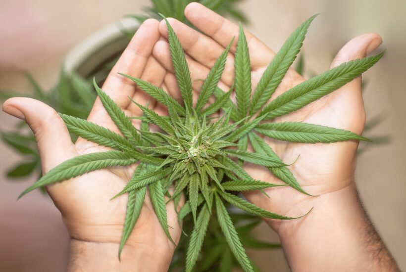 different methods to use marijuana