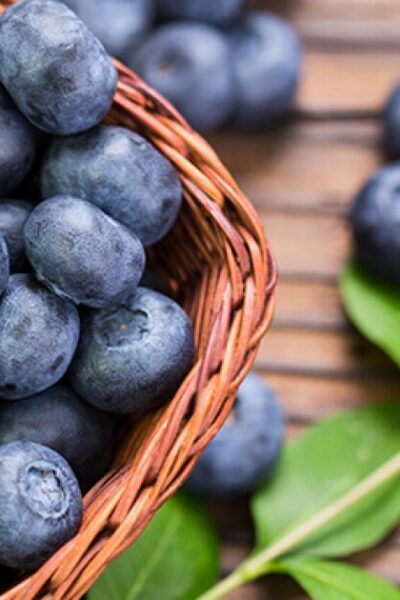 all about blueberries