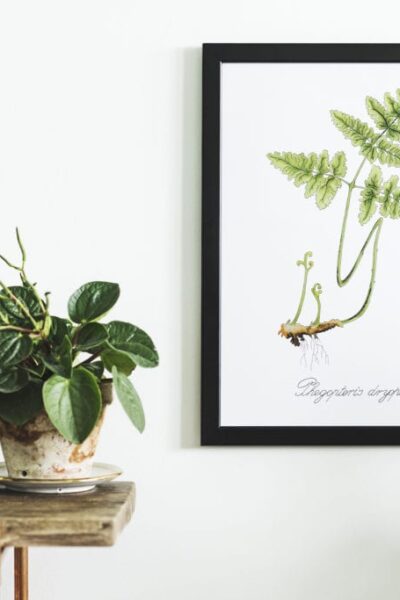 what are wall accessories