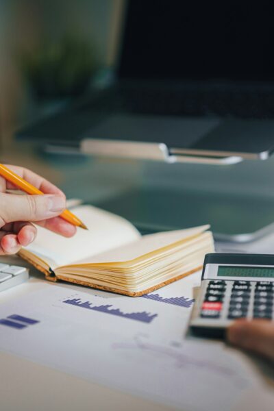 how professional accountants help businesses make smarter financial decisions